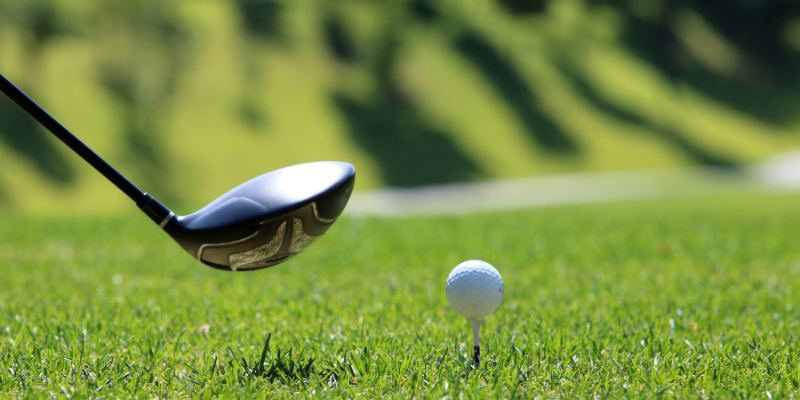 Approval of golf trip was a breach of anti-corruption policy: Thompson v Informatica Software Ltd
