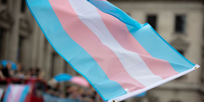 trans flag